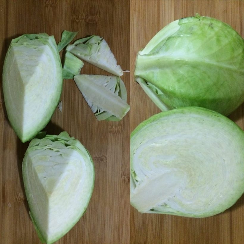 cabbage cutting